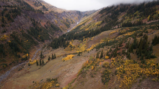 Crested Butte 2/4